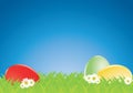 Coloured eggs in a meadow Royalty Free Stock Photo