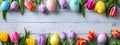 Coloured eggs and coloured tulips on light grey wooden background. Easter style decoration banner. Holiday celebration greeting