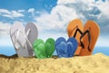 Family of Coloured Flip Flops on Beach