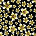 Coloured frangipani flower on black seamless repeat pattern background Royalty Free Stock Photo