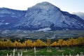 The Autumn vineyards of Trentino in Italy