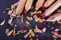 Coloured pencils and shavings against a black background Royalty Free Stock Photo