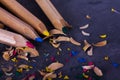 Coloured pencils and shavings against a black background Royalty Free Stock Photo