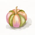 Coloured Pumpkin Drawing Handy Illustration Art White Background