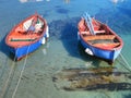 Coloured rowboats in clear sea.
