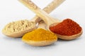 Coloured spices on white background Royalty Free Stock Photo