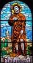 Coloured stained glass of Saint Peregrine