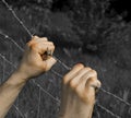 Coloured tortured hands grasping desperately barbed wire