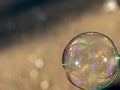 Coloured translucent soap bubble floating in the air Royalty Free Stock Photo