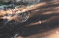 Coloured translucent soap bubble floating in the air Royalty Free Stock Photo