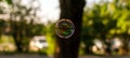 Coloured translucent soap bubble floating in the air with reflection of trees, sky and building on sunny evening. Nature Royalty Free Stock Photo