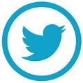 Coloured twitter logo icon