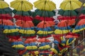 Coloured umbrellas Royalty Free Stock Photo