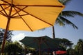 Coloured umbrellas tropical vacation