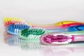 A coloured variety in toothbrushes