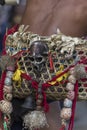 Colourful accessaries used by Naga Tribal people seen at Hornbill festival,Nagaland,India