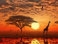 Ai Generated illustration Wildlife Concept of Colourful African Sunrise in a Giraffe South Africa Royalty Free Stock Photo