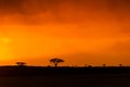 Colourful African Sunrise in South Africa