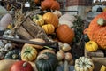 Colourful assortment of pumpkins, squashes and gourds Royalty Free Stock Photo