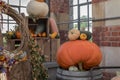 Colourful assortment of pumpkins, squashes and gourds Royalty Free Stock Photo