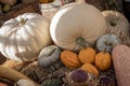 Colourful assortment of pumpkins, squashes and gourds Royalty Free Stock Photo