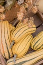 Colourful assortment of pumpkins, squashes and gourds Royalty Free Stock Photo