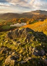 Colourful Autumn colours on a November morning at Loughrigg Tarn seen from above. Lake District, UK. Royalty Free Stock Photo