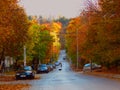 Colourful autumn fall in the small town. Colourful red and yellow trees in the street. Cars, a man and a dog crossing the street.