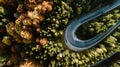 Colourful autumn landscape aerial view of empty asphalt roads, trees with yellow and orange leaves. Europe roads details