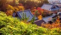 Colourful autumn leaf and temple roof in Kyoto, Japan Royalty Free Stock Photo