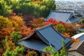 Colourful autumn leaf and temple roof in Kyoto, Japan Royalty Free Stock Photo