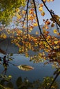 Colourful autumn leaves above lake Bled