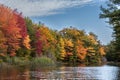 Colourful autumn leaves at a lake Royalty Free Stock Photo