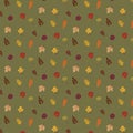 Colourful autumn leaves pattern isolated on green background Royalty Free Stock Photo