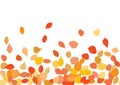 Colourful Autumn Leaves Pattern on White Background Royalty Free Stock Photo