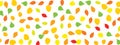 Colourful Autumn Leaves Pattern on White Background Royalty Free Stock Photo