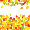 Colourful Autumn Leaves Pattern on White Background Royalty Free Stock Photo