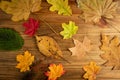 Colourful Autumn Leaves Pattern on White Background Royalty Free Stock Photo