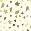 Colourful Autumn Leaves Pattern on White Background Royalty Free Stock Photo