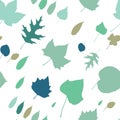 Colourful Autumn Leaves Pattern on White Background Royalty Free Stock Photo