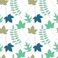 Colourful Autumn Leaves Pattern on White Background Royalty Free Stock Photo