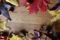 Autumn scene copy space and frame leaves cones conkers on a wooden background