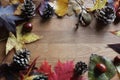 Autumn scene copy space and frame leaves cones conkers on a wooden background