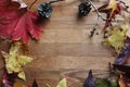 Autumn scene copy space and frame leaves cones conkers on a wooden background