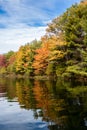 Colourful autumn leaves reflecting in the water on a sunny day Royalty Free Stock Photo