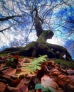 Colourful autumn park in front of a tree roots. Royalty Free Stock Photo