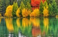 Colourful autumn trees reflecting in the calm lake waters Royalty Free Stock Photo