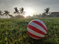 Colourful Ball in the green grass at sunrise in the village