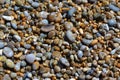 Colourful Beach Pebbles