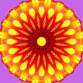 Colourful beautiful pattern  illustration image  graphi design  flower Royalty Free Stock Photo